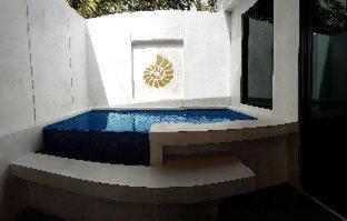 Villa Plunge Pool,1274258857:JPEG