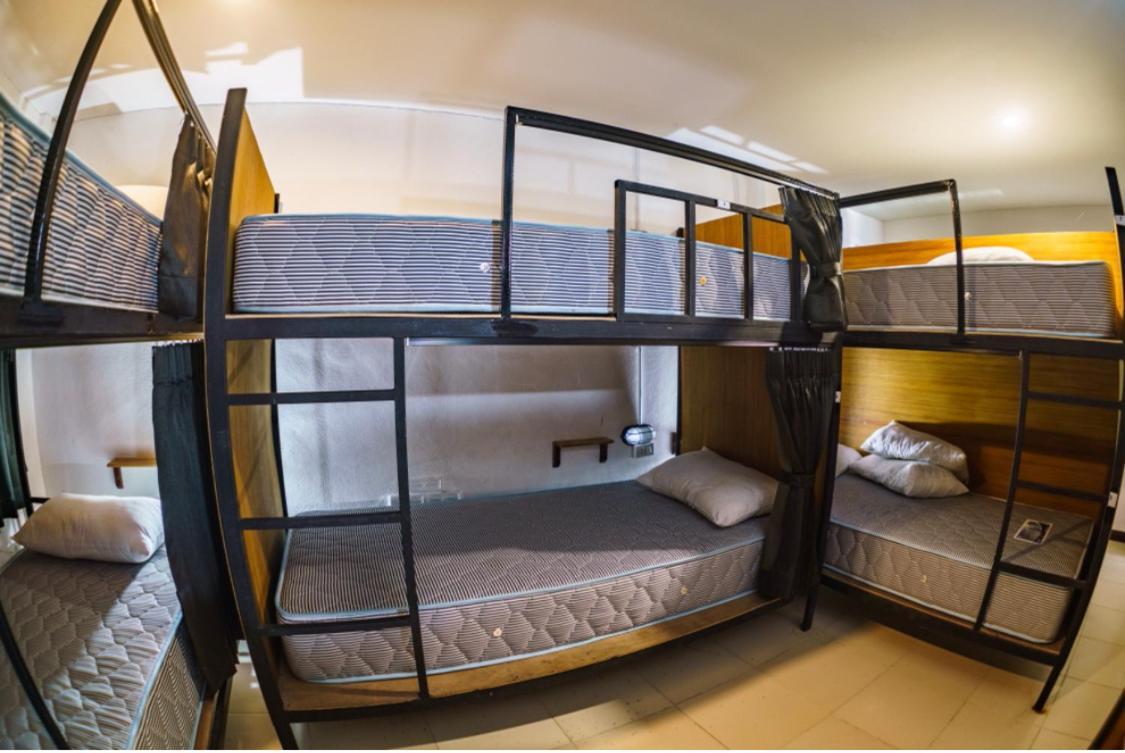 Habitación Compartida Mixta de 8 camas
