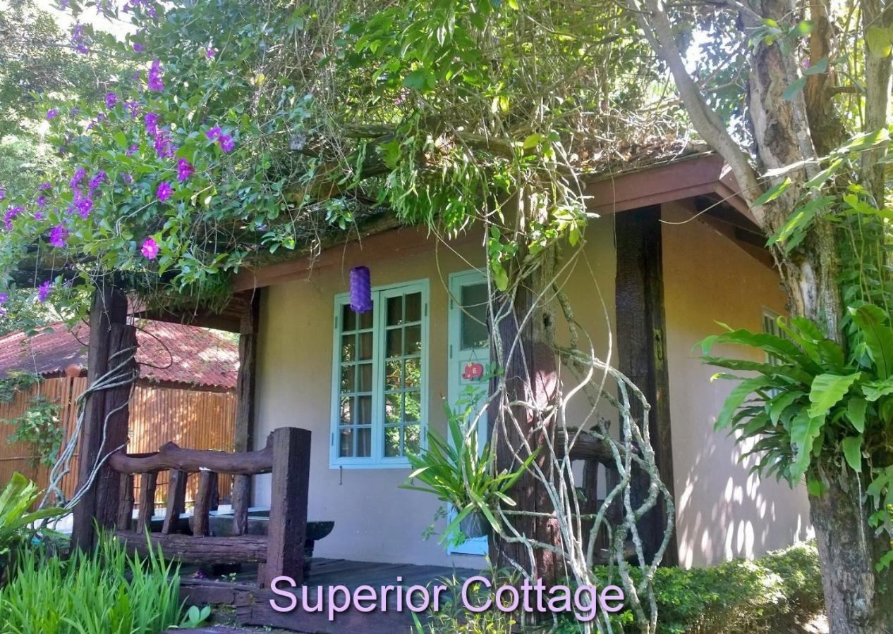 Family Bungalow