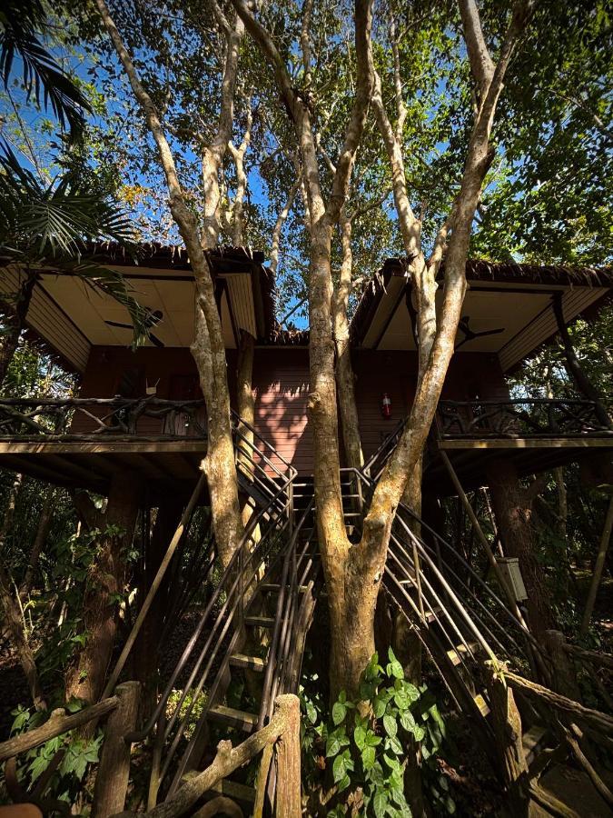 Family Bungalow,1499414545:JPEG