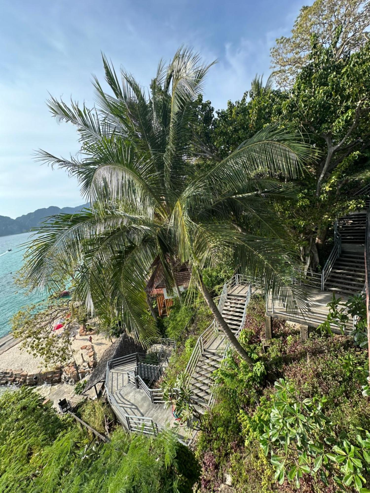 Tropical Room