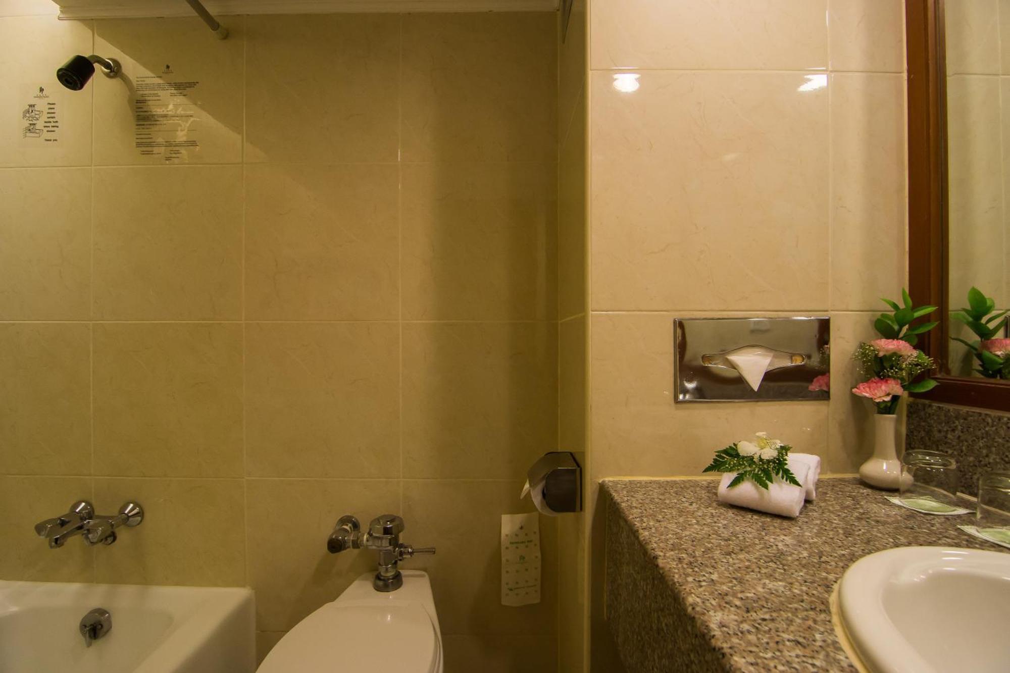 Superior Double or Twin Room