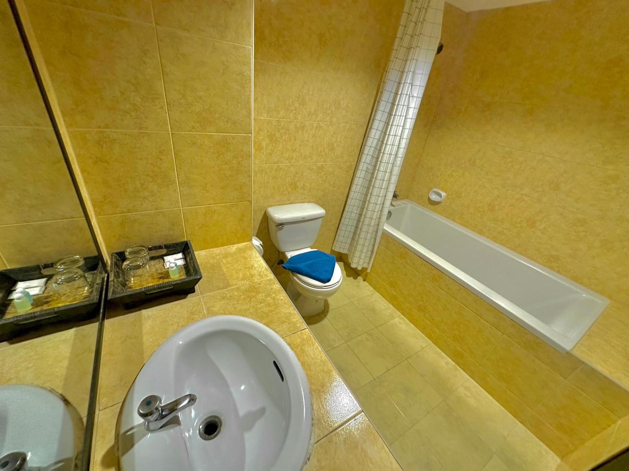 Superior Double or Twin Room Mountain View