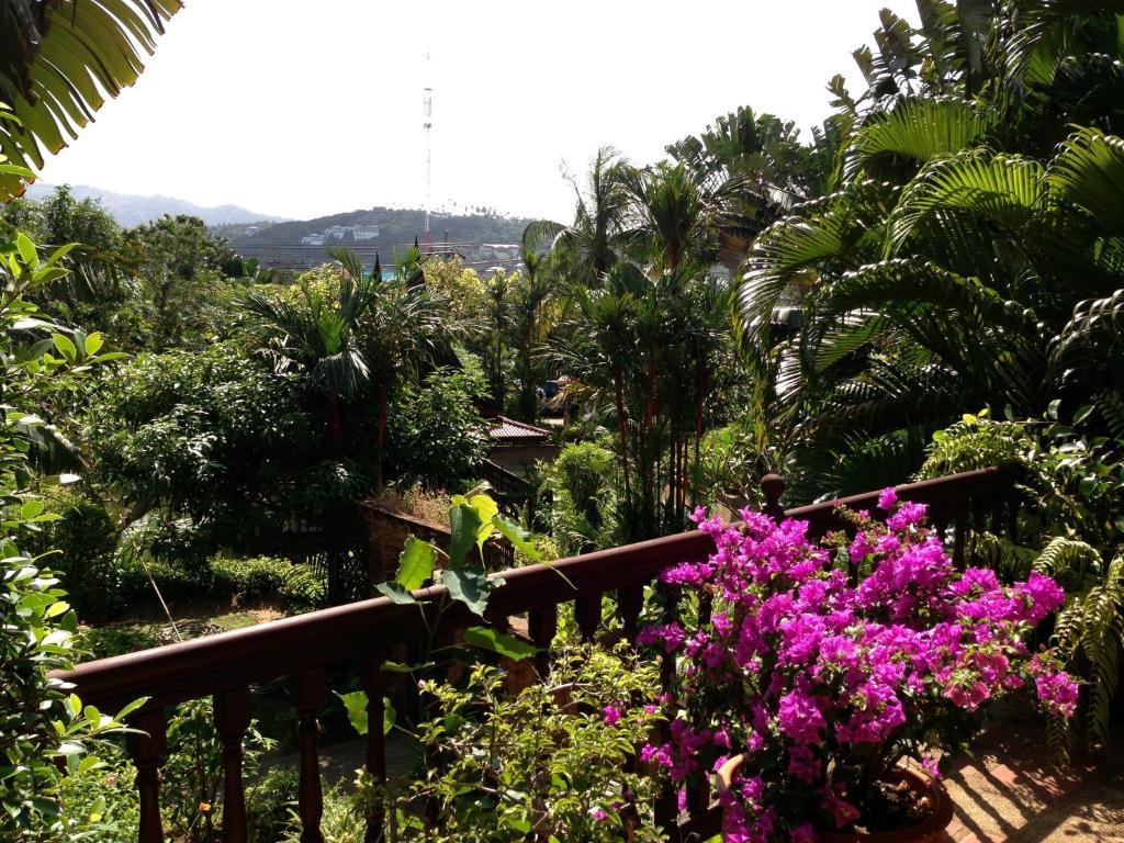 Deluxe Double Room Garden View,31135316: