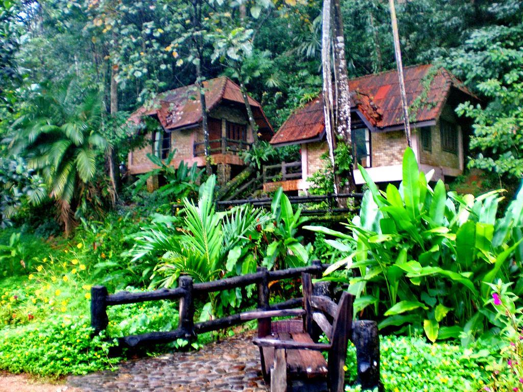 Standard Bungalow