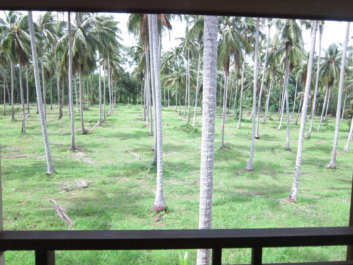 Superior Twin Room Garden View