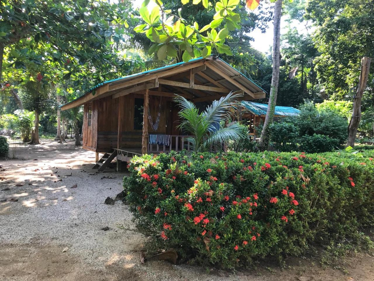 Deluxe Bungalow with Garden View,738937498:JPEG