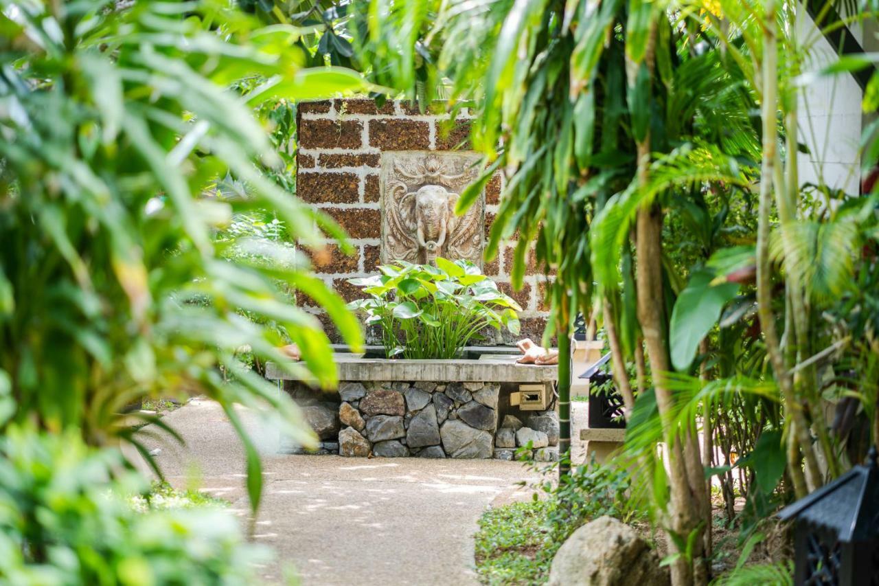 Villa with Garden View,917821702:JPEG