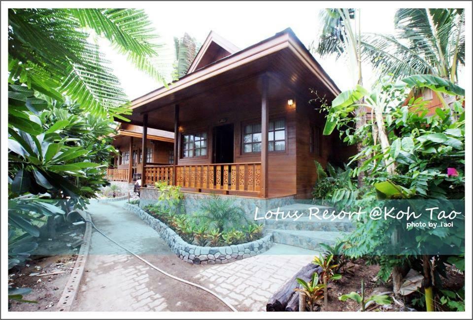Suite Bungalow