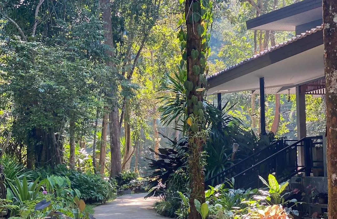 Khao Sok Nature Resort-1