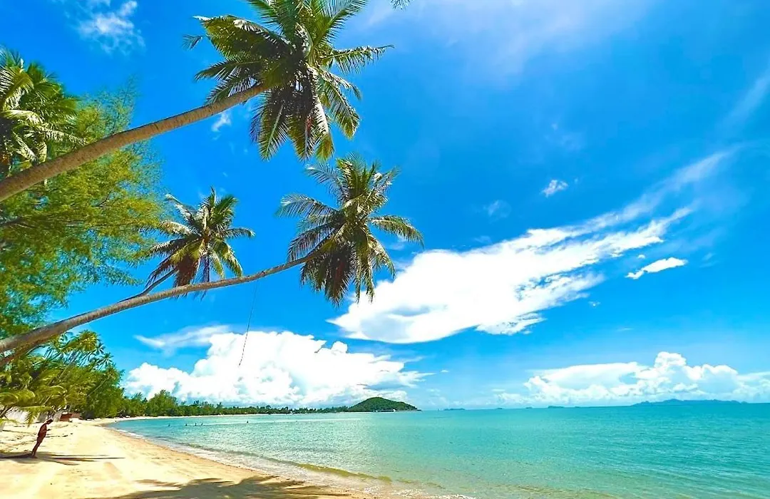 Lipa Lodge Beach Resort-1