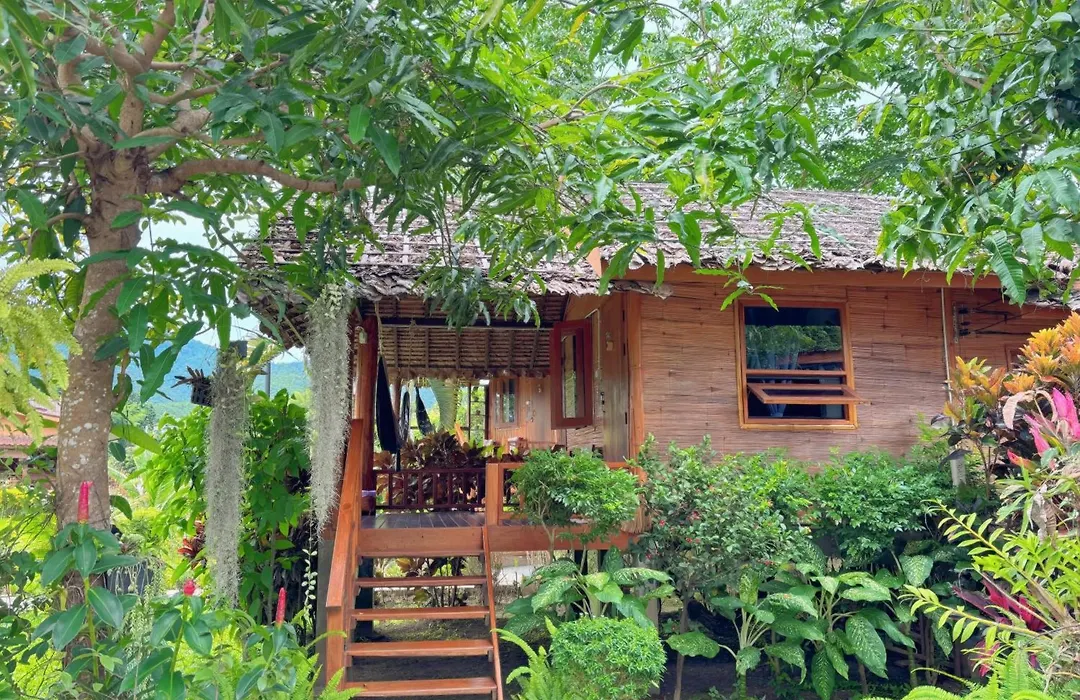 The Nest House-1