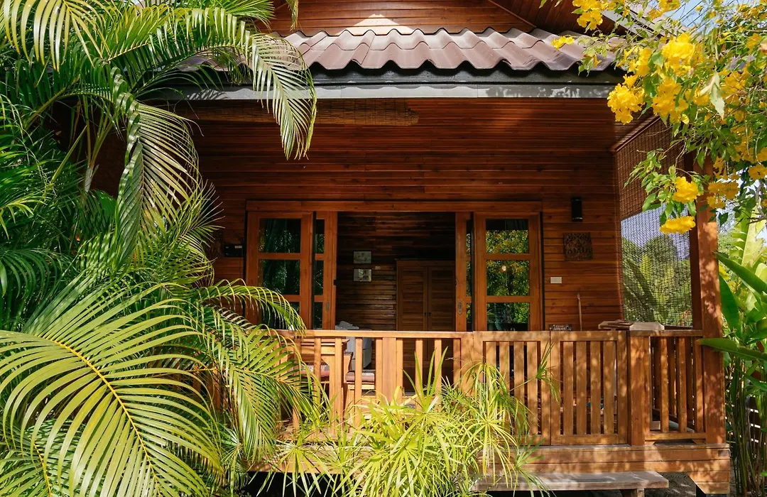 Samui Blue Bird-1