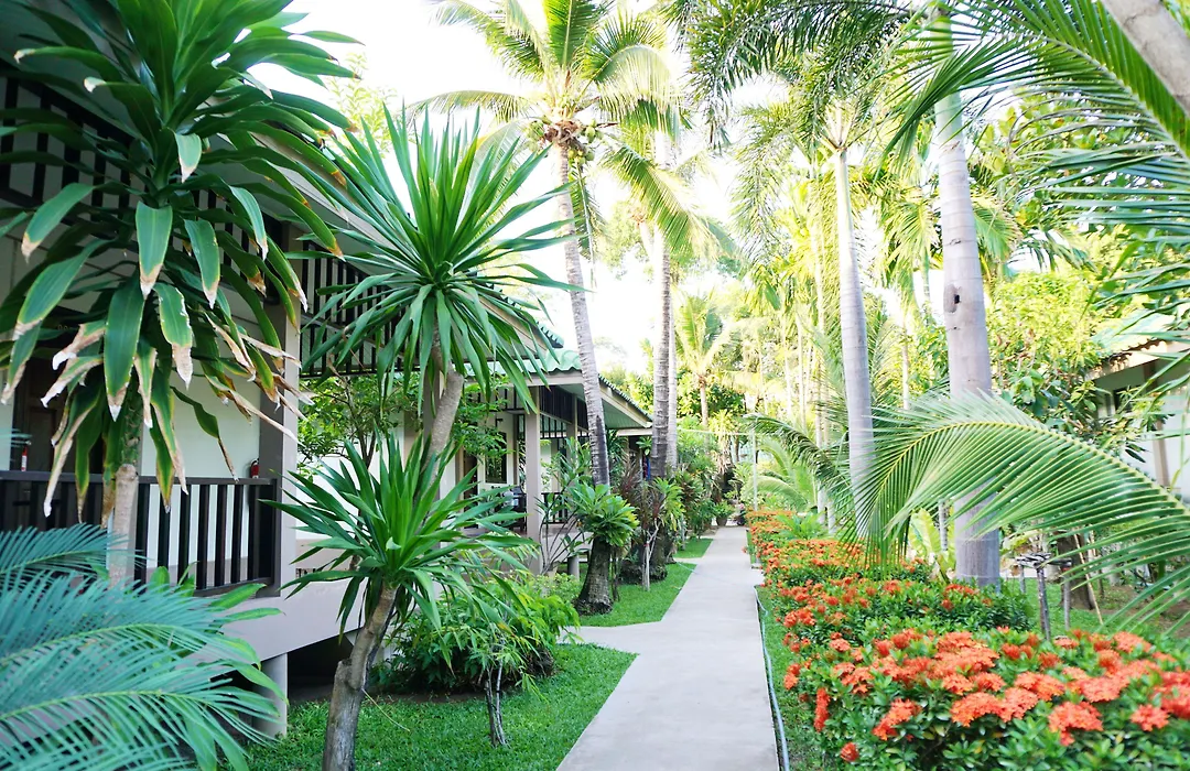 Lamai Inn 99 Bungalows-1