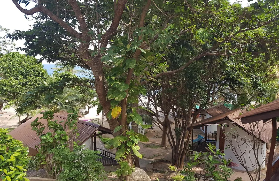 Diamond Beach Resort-1