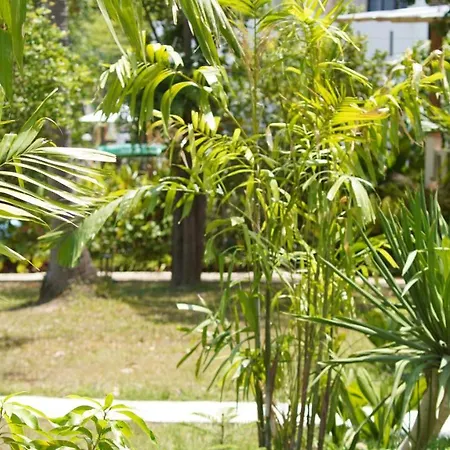Treeya Lanta-3