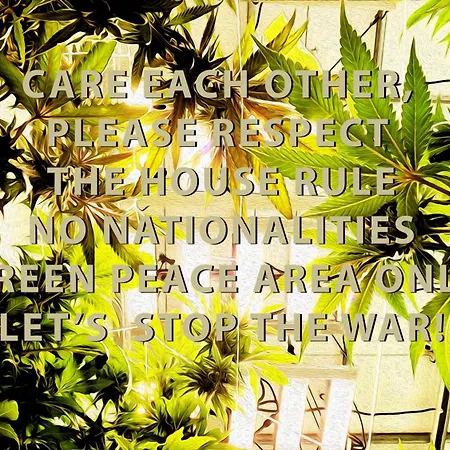 Rent V38 #420 Friendly Thailand-3