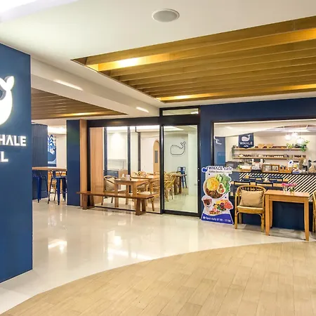 Sleep Whale Hotel-2