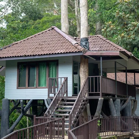 Rock And Tree House Resort-3