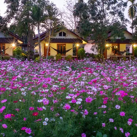 The Nest House-2