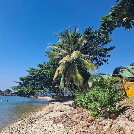 Paradise Palms-3