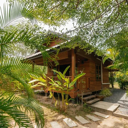 Samui Blue Bird-2