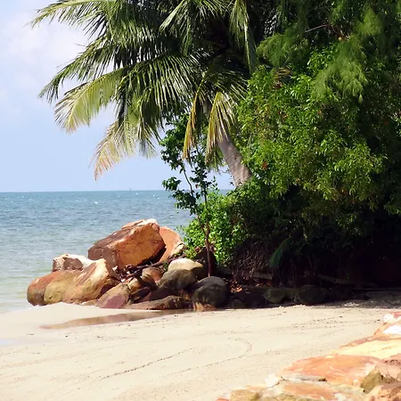 Mango Beach Resort-2