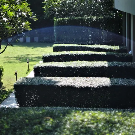 Yoma Hotel, Pai-3