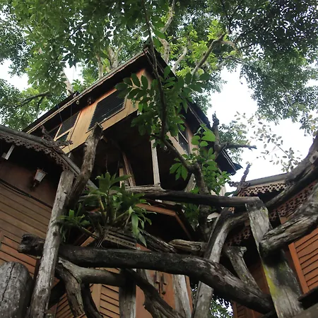 Pai Treehouse-3