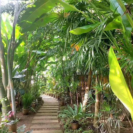Breeze Of Pai Guesthouse-3