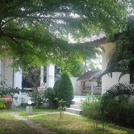 Bamboo Resort-3
