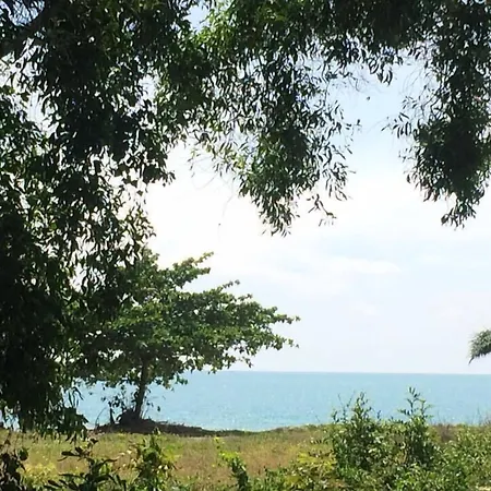 Bamboo Resort-2
