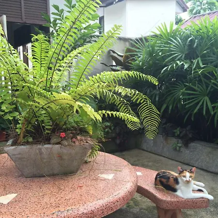 Fern House Retreat-3