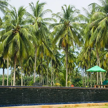 Khao Lak Golden Coconut-2