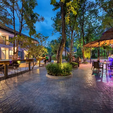 At Rice Resort-3
