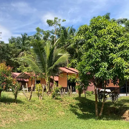 Khao Sok Evergreen House-3