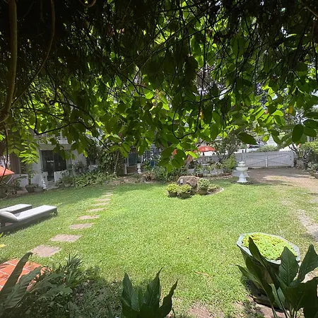 Banyan House Samui Bed And Breakfast (Adults Only)-2