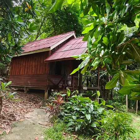 Jungle Hill Beach Bungalow-2
