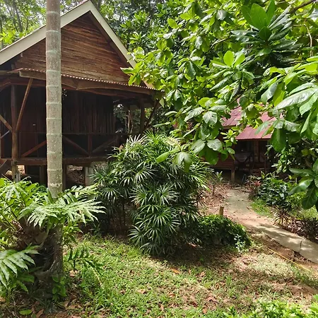 Jungle Hill Beach Bungalow-3