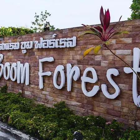 Boom Forest Hotel-2