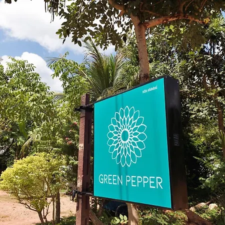 Green Pepper-3