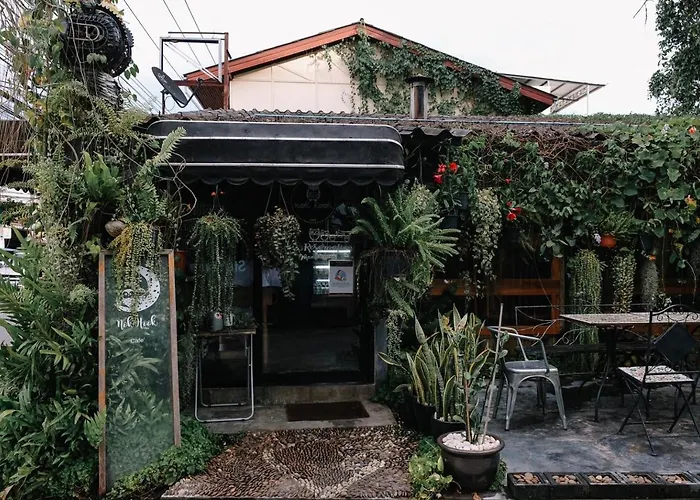 Baannokhook Home&Cafe