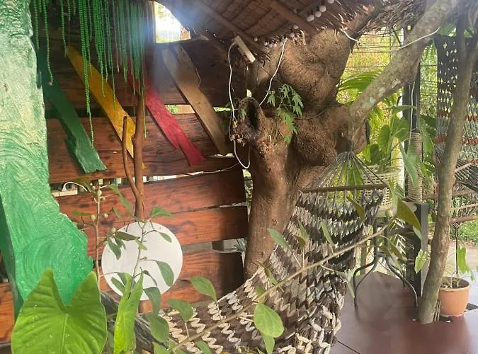 Happy Hippy House3
