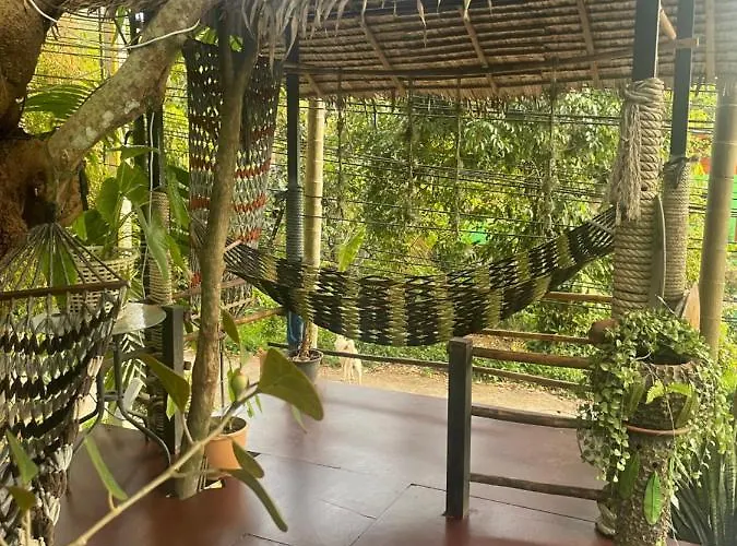 Happy Hippy House2