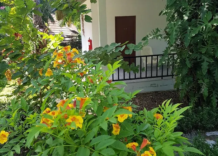 Groovy Bungalows