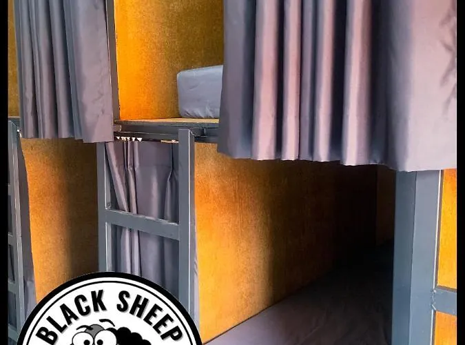 The Black Sheep Hostel