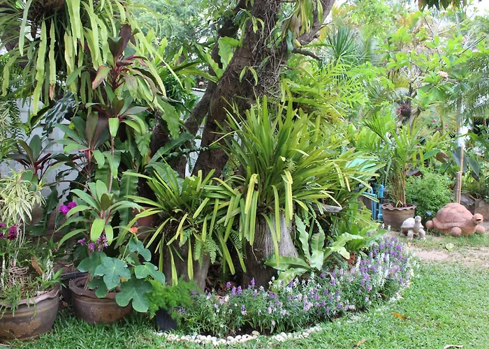 White Elephant Resort Surin
