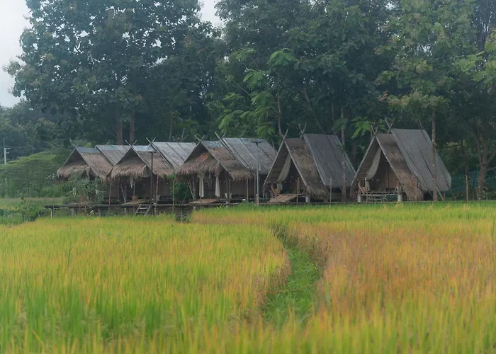 Paddy Fields Haven - Natures Nest, Mountain View In Pai