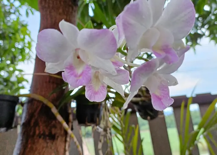 Patchara House - พชร เฮ้าส์ กาญจนบุรี