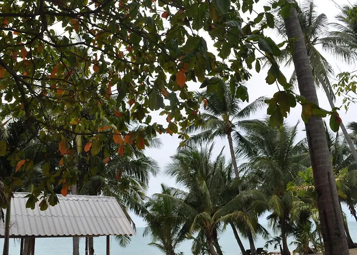 Astrococo Beach Resort By Coconut Beach Lamai Beach 